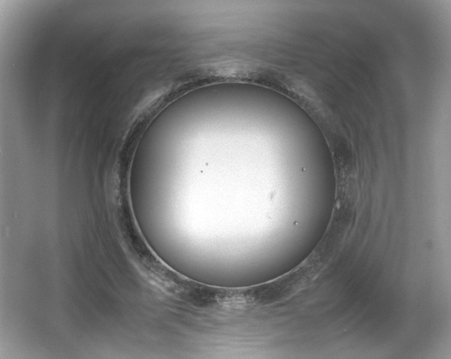 X0000066980587200603241239