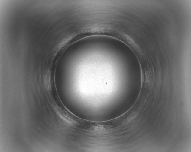 X0000066980588200603241239