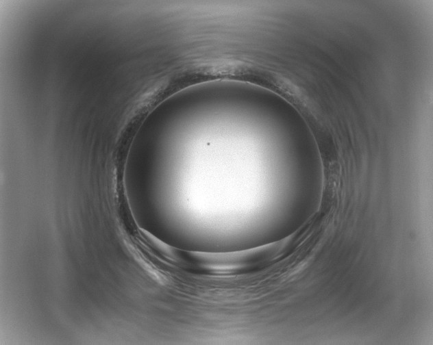 X0000066980589200603241239