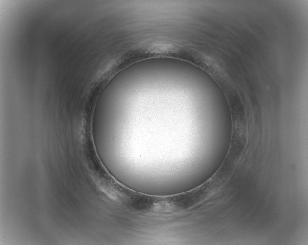 X0000066980591200603241239