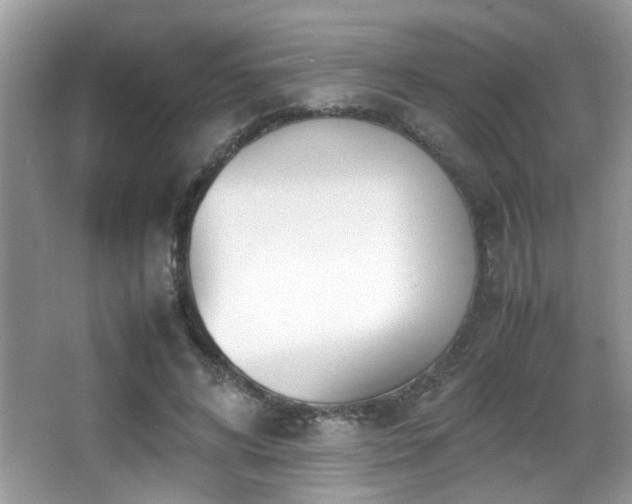 X0000066980592200603241239
