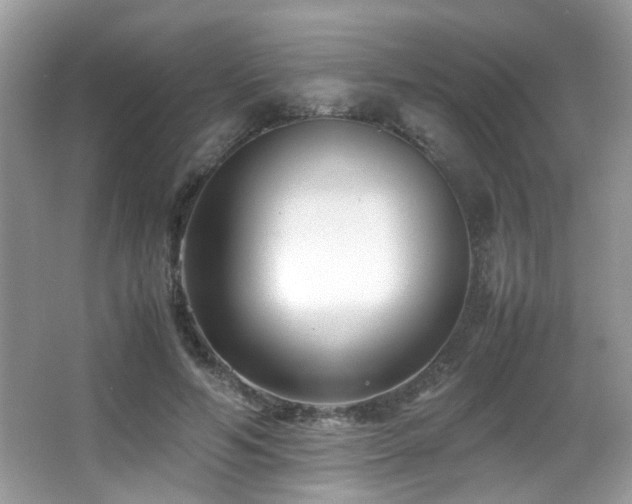 X0000066980594200603241239