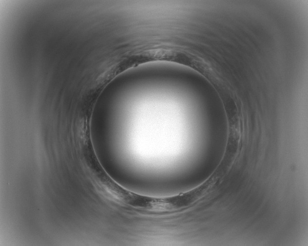 X0000066980605200603241238