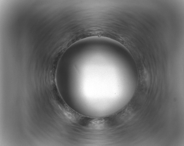 X0000066980606200603241238