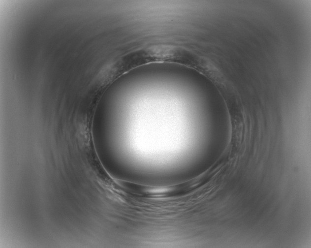 X0000066980609200603241238
