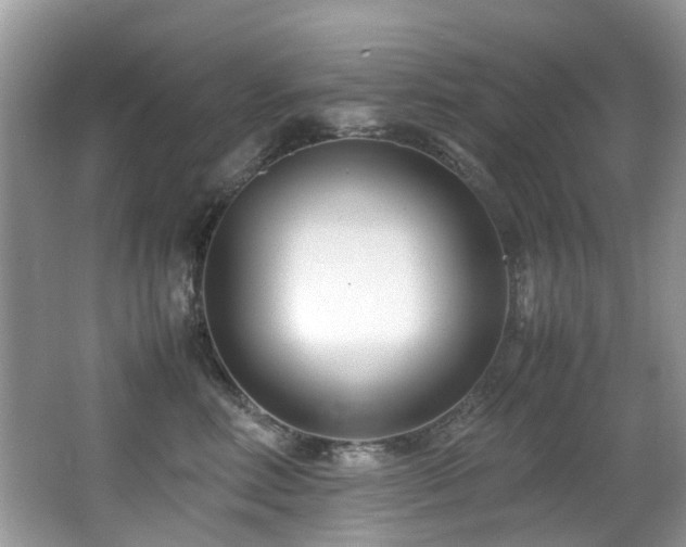 X0000066980618200603241238