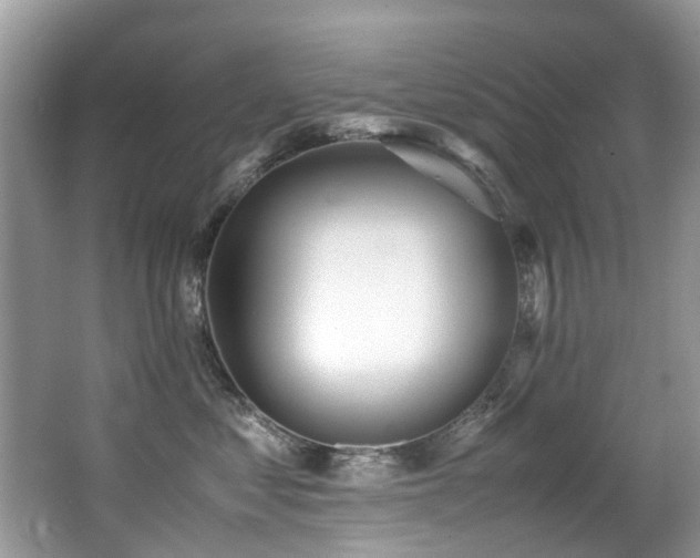 X0000066980621200603241238