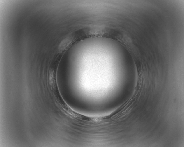 X0000066980623200603241238