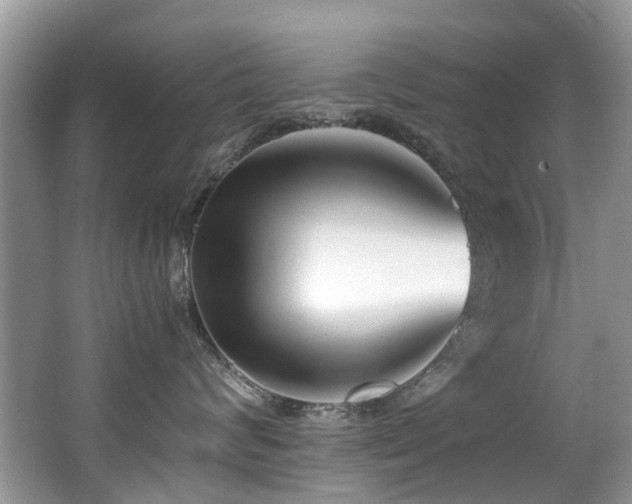 X0000066980624200603241238