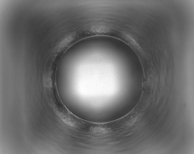 X0000066980635200603241238