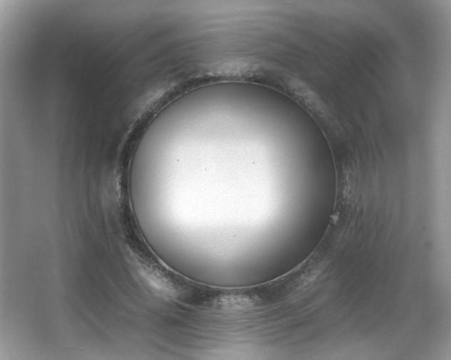 X0000066980636200603241238
