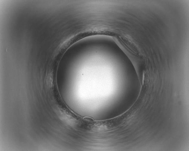 X0000066980640200603241238