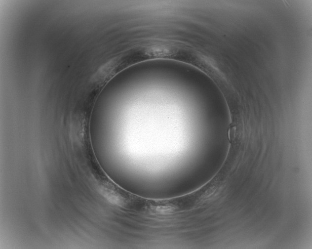X0000066980645200603241238