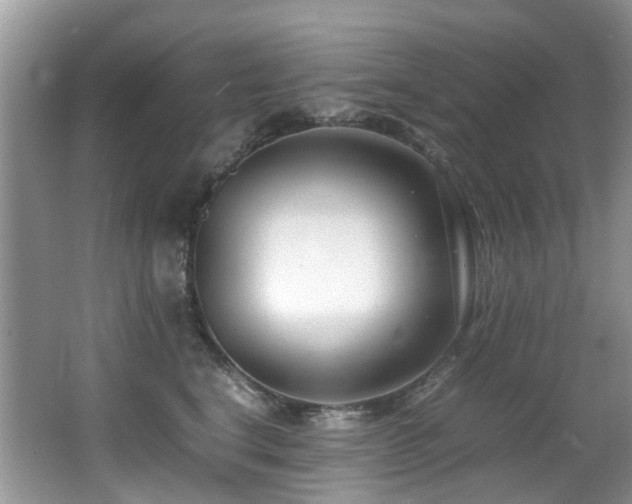 X0000066980664200603241238