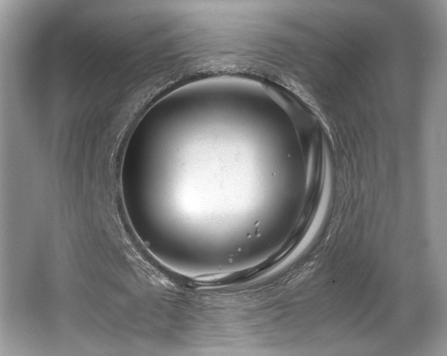 X0000066980673200603241237