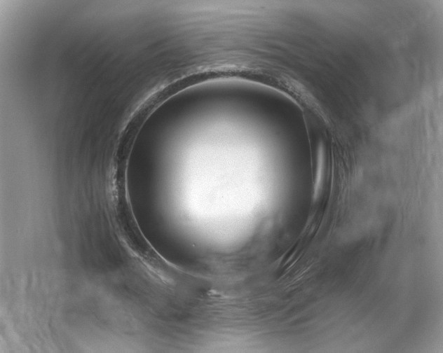X0000066980676200603241237