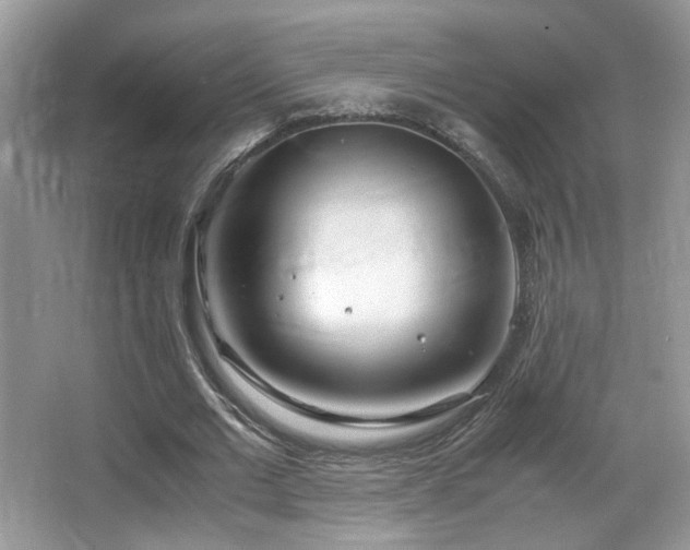 X0000066980677200603241237