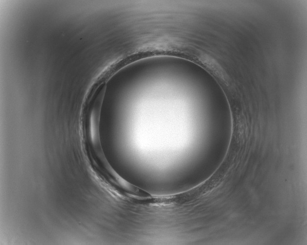 X0000066980680200603241237