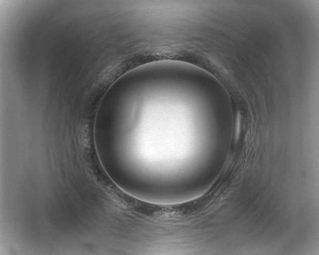 X0000066980689200603241237