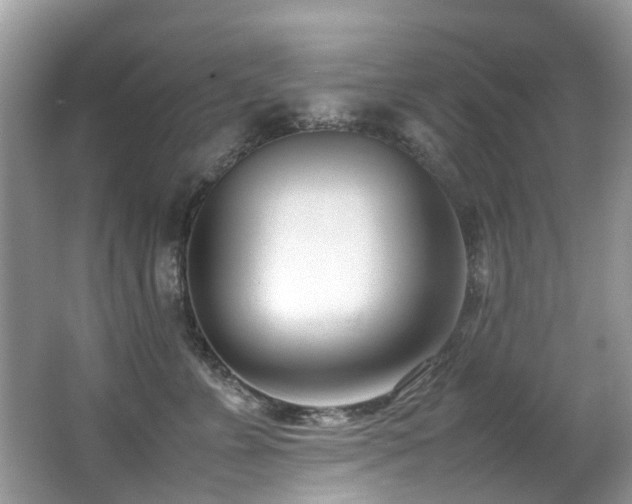 X0000066980715200603241237