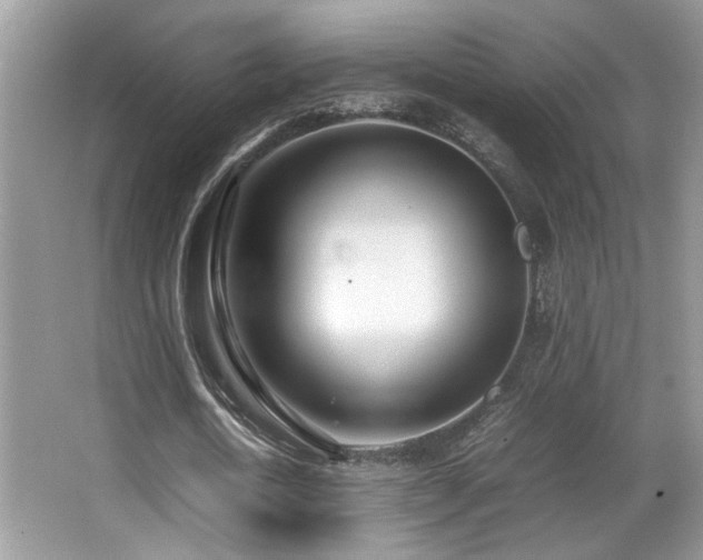 X0000066980722200603241236