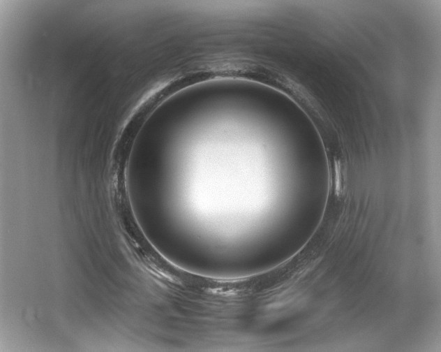 X0000066980723200603241236