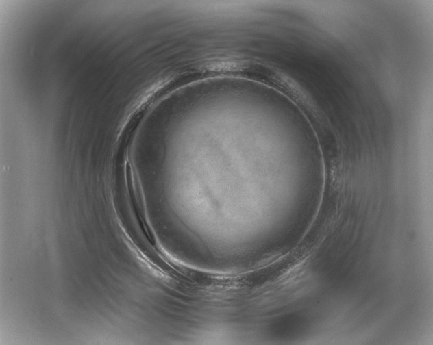 X0000066980725200603241236