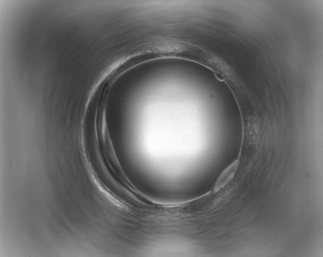 X0000066980726200603241236