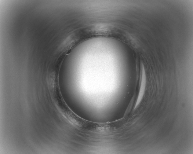 X0000066980744200603241236