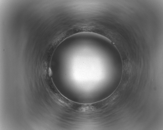 X0000066980752200603241236