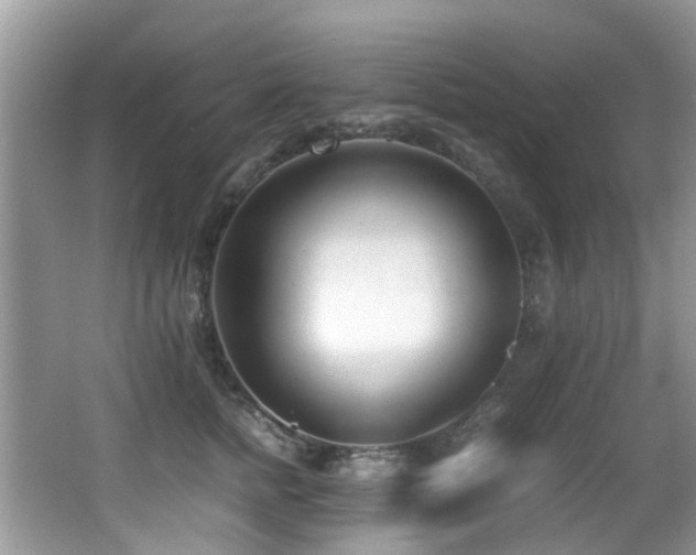 X0000066980758200603241236