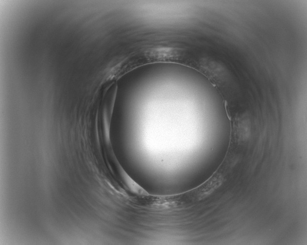 X0000066980760200603241236