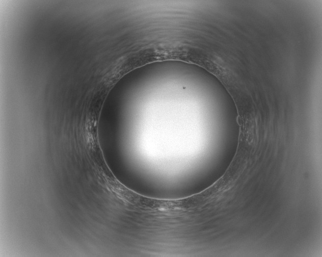 X0000066980770200603241236