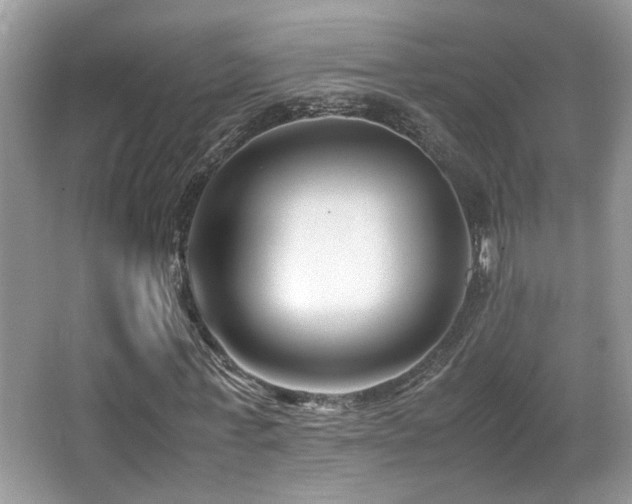 X0000066980771200603241236