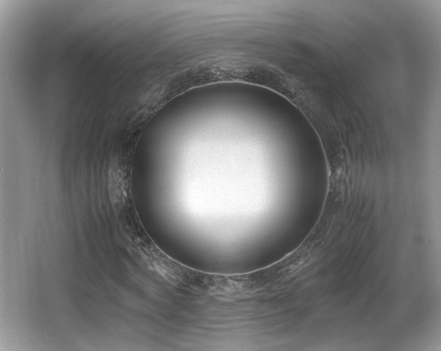 X0000066980772200603241236