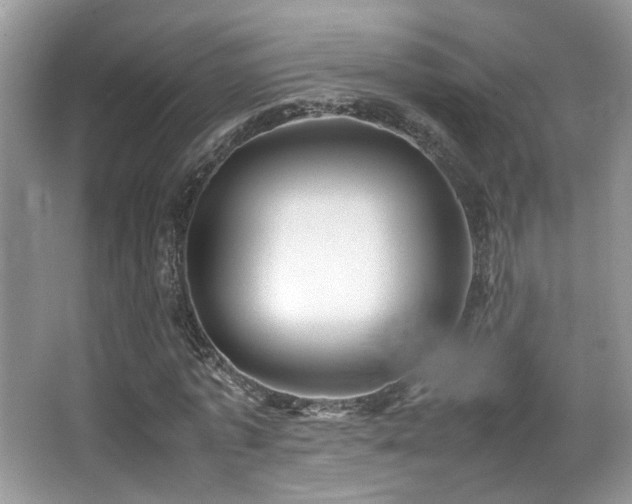 X0000066980773200603241236
