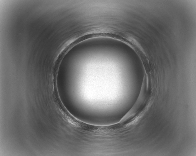 X0000066980781200603241235