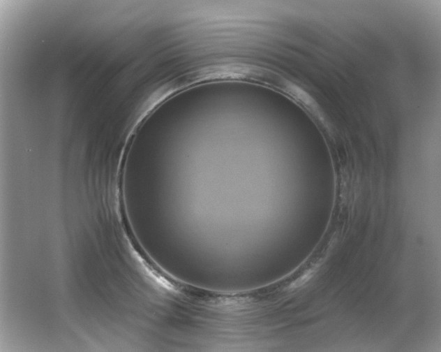 X0000066980802200603241235