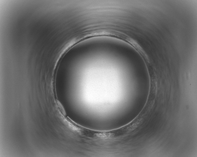 X0000066980805200603241235