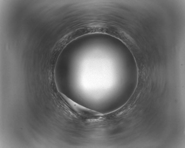 X0000066980821200603241234