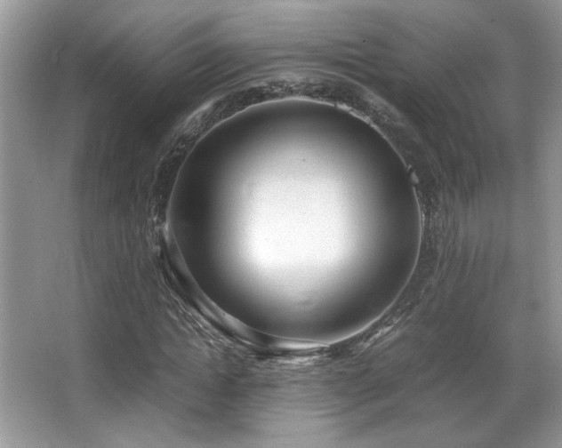 X0000066980822200603241234