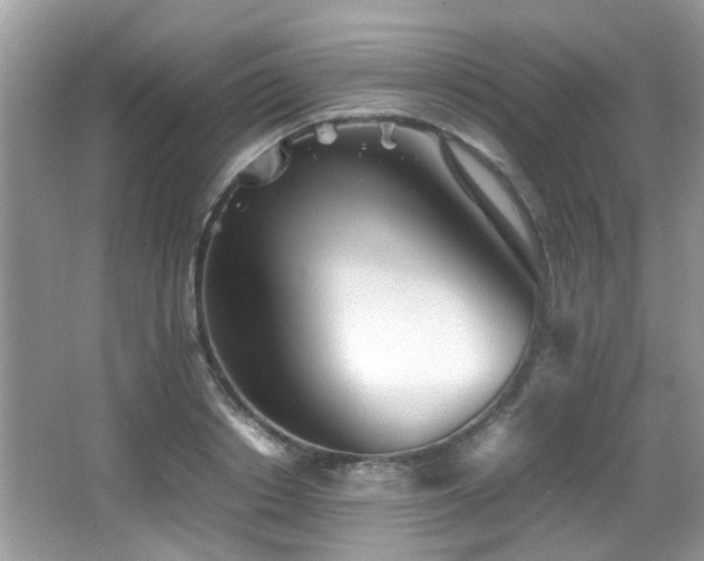 X0000066980842200603241234