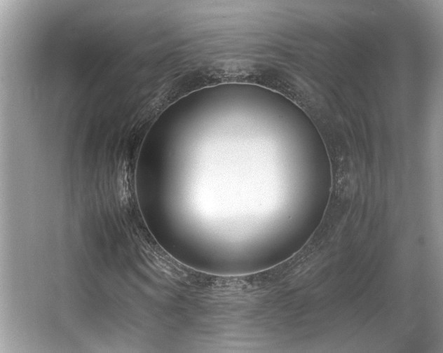 X0000066980866200603241234
