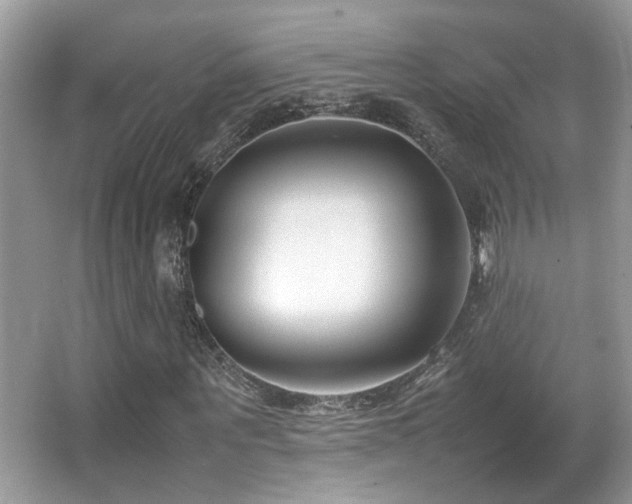 X0000066980867200603241234