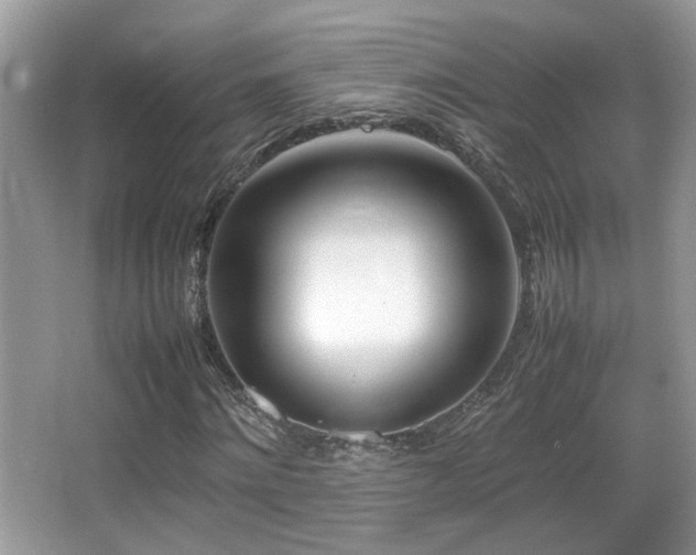 X0000066980868200603241234
