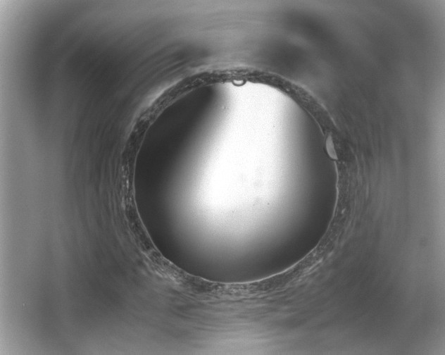 X0000066980871200603241234
