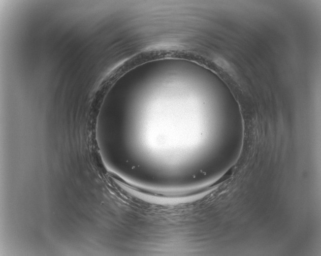 X0000066980872200603241234