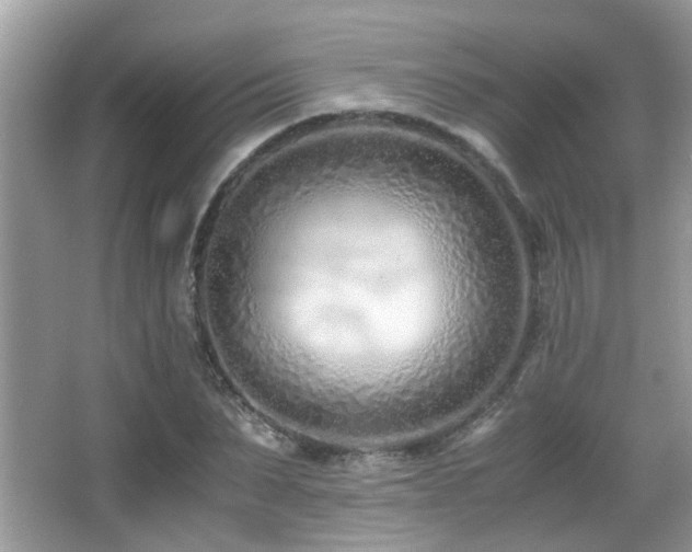 X0000066980879200603241234