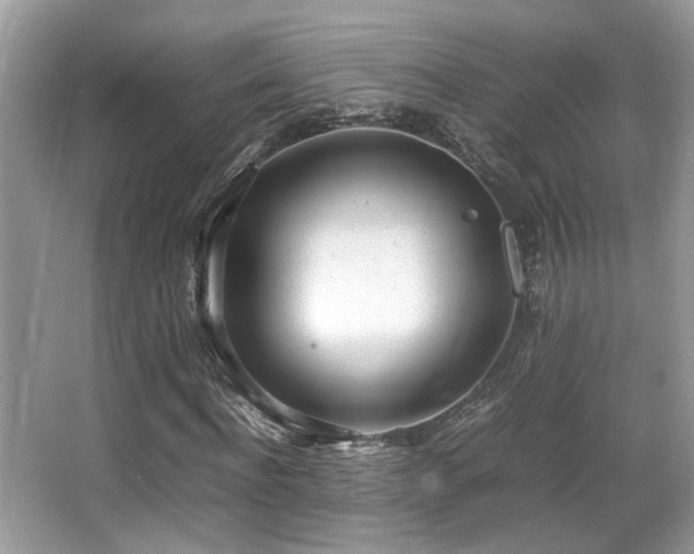 X0000066980916200603241232