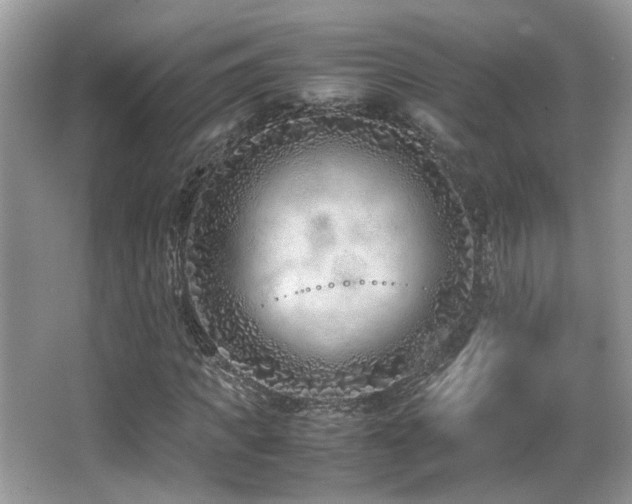 X0000066980917200603241233